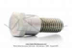 Axe de poulie pour SoleX 3800 / Vis de phare pour SoleX 5000 et Flash - TH.9