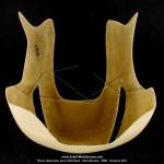 Sabot moteur - Polyester - pour Peugeot 103 (tous modles)