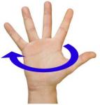 Gants STEEV - avec coques - Et - JUMP V2 - Noir - Taille 12 / XXL (la paire)