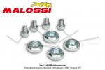 Contrepoids (Masselottes) Malossi pour variateur Malossi Variotop pour Mobylettes Motobcane MBK 51 / Peugeot 103 (x4 poids + x4 vis)