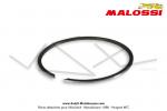 Segment Malossi - Fonte - Chrom - 40.1x1 - pour Mobylette MBK 51 (AV10)