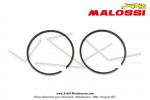 Segments Malossi - 45.5mm - Chroms - pour kits Malossi Peugeot 103 / MBK 51 (la paire) (Article non homologu / Interdit sur voie publique / Rserv  un usage comptition sur voie prive telle que circuit)