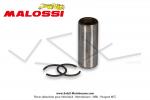 Axe de piston Malossi + 2 Circlips (Joncs) de piston - 13x9x31,5mm - pour kits Malossi GR1 / GR2 pour Mobylettes Motobcane MBK 51 / 41 / 881 (AV10)