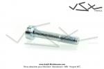 Vis de fixation de monogrammes de rservoir  Ttes de Gaulois - M3x0,5 - Lg. 17mm - pour Mobylette Motobcane / Motoconfort (x1pc)