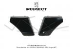 Portire de boite  outils (Coffre) droite et gauche Origine Peugeot pour Peugeot 103 (la paire)