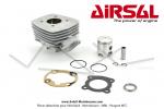 Cylindre / Piston (Kit) Airsal 40mm - 50cc - 5 transferts (T5) - pour Peugeot FOX / FXR